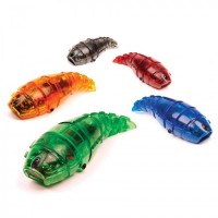 HEXBUG Larva Robotic Creatures (Random Color)